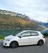 Toyota Auris walhausen