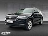Skoda Kodiaq roehrig