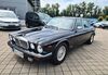 Jaguar Andere grafenhausen