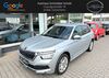 Skoda Kamiq hoehr-grenzhausen