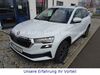 Skoda Karoq roehrig