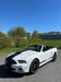 Ford Mustang bl|nordrhein-westfalen