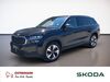 Skoda Kodiaq kreis|merseburg-querfurt