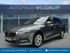 Skoda Octavia kreis|suedliche-weinstrasse