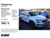 Skoda Karoq wasbuettel