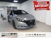 Nissan Leaf hottelstedt