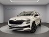 Skoda Karoq roehrig