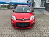 Fiat Panda suedergellersen