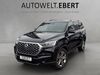 SsangYong REXTON Weisenheim am Berg