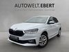 Skoda Fabia kreis|rheingau-taunus-kreis