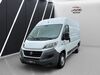 Fiat Ducato Herzberg (Mark)