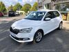 Skoda Fabia bueddenstedt