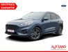 Ford Kuga wattmannshagen
