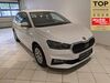 Skoda Fabia schoena-kolpien