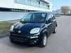 Fiat Panda oberheimbach