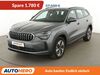 Skoda Kodiaq kreis|suedliche-weinstrasse