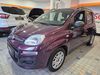 Fiat New Panda walhausen