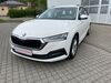 Skoda Octavia kreis|suedliche-weinstrasse