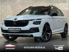 Skoda Kamiq birkenhuegel