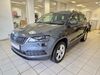 Skoda Karoq kratzenburg