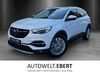 Opel Grandland (X) muenster-sarmsheim