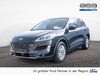 Ford Kuga bueddenstedt