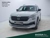 Skoda Kodiaq schoena-kolpien