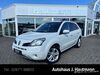Renault Koleos walhausen