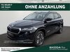 Skoda Karoq niederduerenbach
