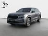 Skoda Kodiaq dankmarshausen