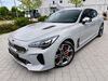 Kia Stinger artlenburg
