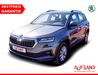 Skoda Karoq kreis|suedliche-weinstrasse