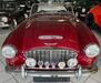 Austin Healey Andere ewighausen