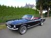 Ford Mustang gruenewald