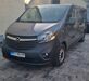 Opel Vivaro wunstorf