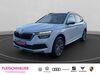Skoda Kamiq kreis|rhein-sieg-kreis