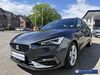 Seat Leon suedergellersen