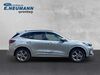 Ford Kuga schoena-kolpien
