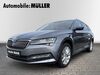 Skoda Superb schmerkendorf