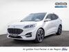 Ford Kuga bueddenstedt
