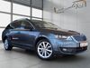 Skoda Octavia schoena-kolpien