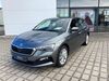 Skoda Scala stolpen