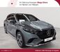 Mercedes-Benz EQS SUV dittelsheim-hessloch