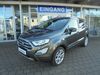 Ford EcoSport Schöfweg