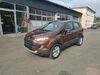 Ford EcoSport hottelstedt