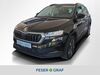 Skoda Karoq geisenfeld