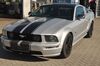 Ford Mustang gau-odernheim