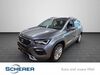 Seat Ateca walhausen