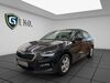 Skoda Scala hintertiefenbach
