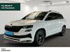 Skoda Karoq meinborn